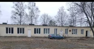 Büro 308 m² in Davydauski sielski Saviet, Weißrussland