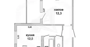 Appartement 1 chambre dans Muchaviecki sielski Saviet, Bélarus
