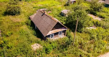 House in Usiazski sielski Saviet, Belarus