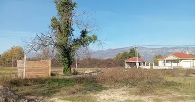 Parcela en Montenegro