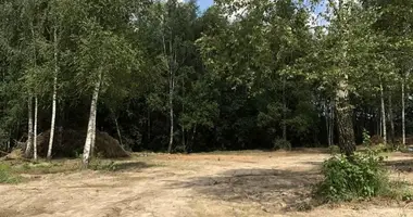 Участок земли в Петришковский сельский Совет, Беларусь