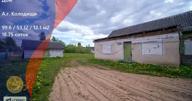 House in Kalodziscanski sielski Saviet, Belarus