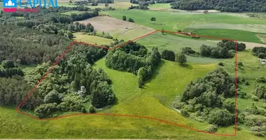 Plot of land in Ezeliskes, Lithuania
