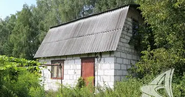Dom w Matykalski sielski Saviet, Białoruś