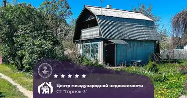 Casa en Starobinski sielski Saviet, Belarús