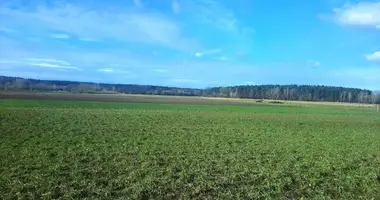 Plot of land in Garby, Poland