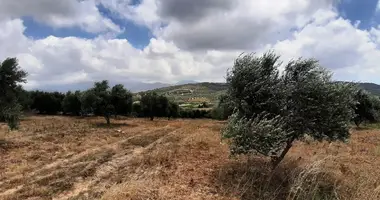 Terrain dans Archontiko, Grèce