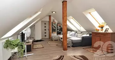 Apartment in Libusin, Czech Republic
