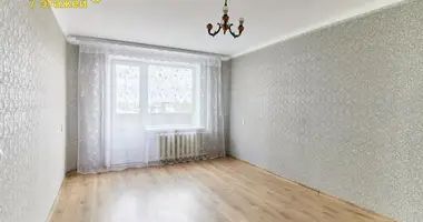 Apartamento 1 habitación en Druzhny, Bielorrusia