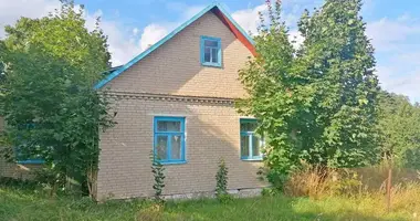 House in Zyrovicy, Belarus