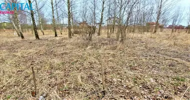 Grundstück in Rinkunai, Litauen
