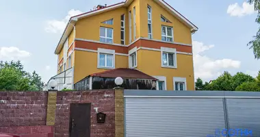 Cottage in Borovlyany, Belarus