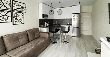 2 room apartment in Minsk, Belarus