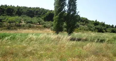 Plot of land in Nikiti, Greece