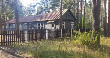 Nieruchomości komercyjne 1 455 m² w Syckava, Białoruś