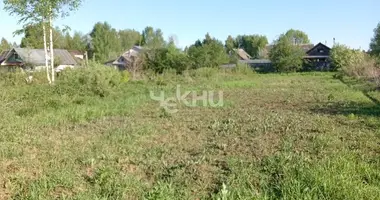 Terrain dans Gorodetsky District, Russie