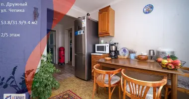Wohnung 2 zimmer in Druschny, Belarus
