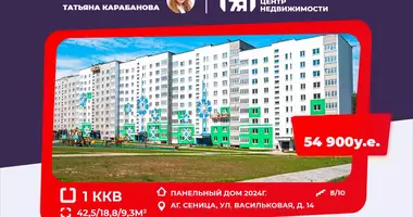 Mieszkanie 1 pokój w Siennica, Białoruś