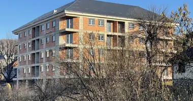 Apartamento 1 habitacion en Municipio de Kolašin, Montenegro