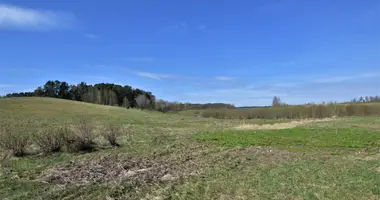 Plot of land in Svedai, Lithuania