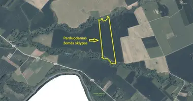 Działka w Ponowie, Litwa