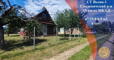 House in Zabalocki sielski Saviet, Belarus