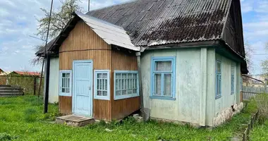 House in Vileyka, Belarus