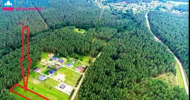 Plot of land in Naujasode, Lithuania