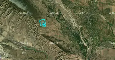 Plot of land in Kaspi Municipality, Georgia