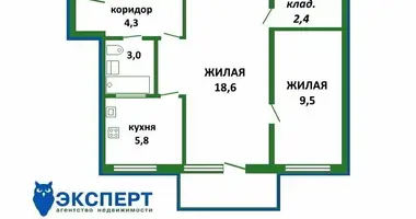 2 room apartment in Minsk, Belarus