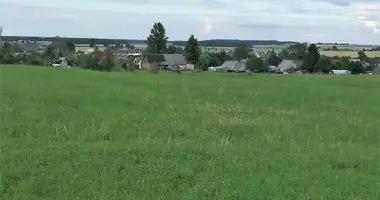 Участок земли в Cicinai, Литва