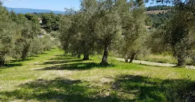 Parcela en Agia Paraskevi, Grecia