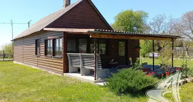 Haus in Dzmitrovicki sielski Saviet, Belarus