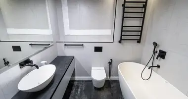2 room apartment in Minsk, Belarus