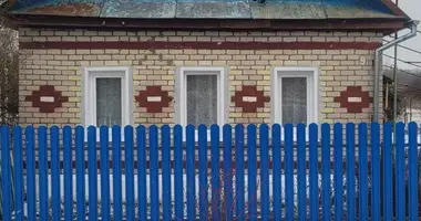 House in Siamionavicy, Belarus