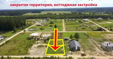 Plot of land in Zabalocki sielski Saviet, Belarus