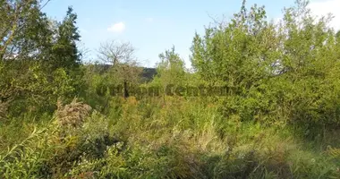 Plot of land in Nagykovacsi, Hungary