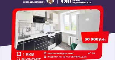 1 bedroom apartment in Zhodzina, Belarus