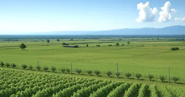 Terrain dans Kvareli, Géorgie
