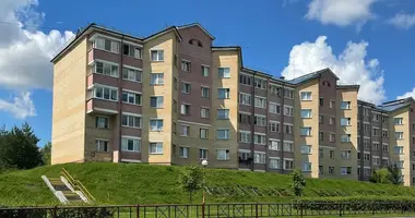 Wohnung 3 zimmer in Slonim, Belarus