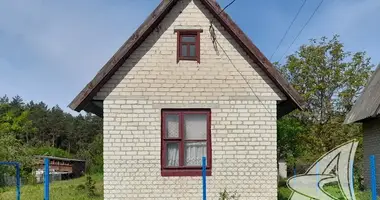 House in Znamienski sielski Saviet, Belarus