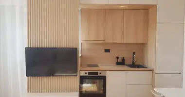 Apartamento 1 habitacion en Montenegro