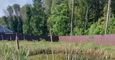 Terrain dans Dziamidavicki sielski Saviet, Bélarus