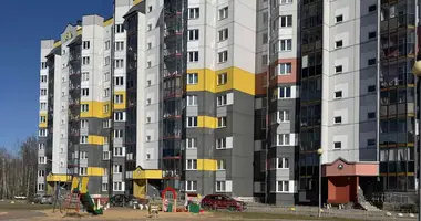 Apartamento 1 habitación en Druzhny, Bielorrusia