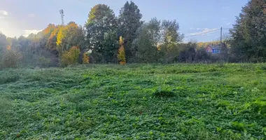 Дом в Раковский сельский Совет, Беларусь