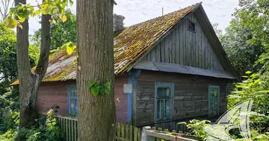 House in Novyja Lyscycy, Belarus