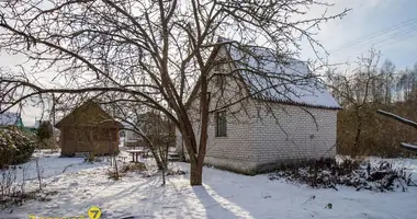 House in Rakauski sielski Saviet, Belarus