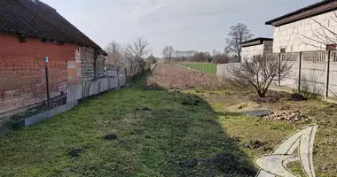 Plot of land in carnaucycki sielski Saviet, Belarus