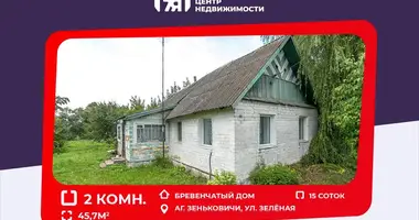 House in Zaskavicy, Belarus