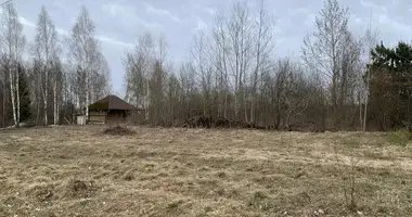 House in Piatryskauski sielski Saviet, Belarus